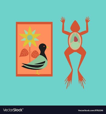 Flat icon on stylish background Biology frog bird vector image