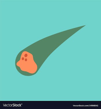 Flat icon on stylish background falling meteorite vector image