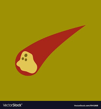 Flat icon on stylish background falling meteorite vector image