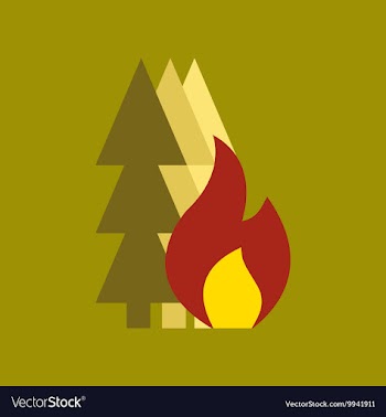 Flat icon on stylish background forest fire vector image