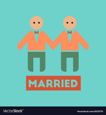 Flat icon on stylish background gay newlyweds vector image