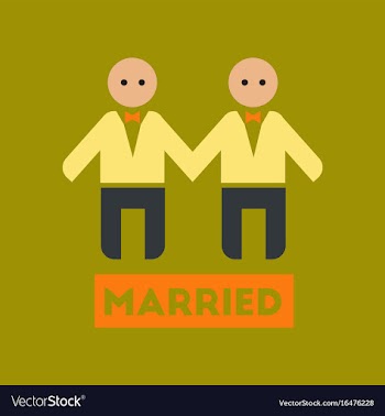 Flat icon on stylish background gay newlyweds vector image
