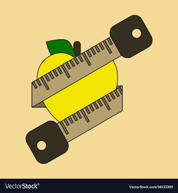 Flat icon on stylish background logo diet vector image
