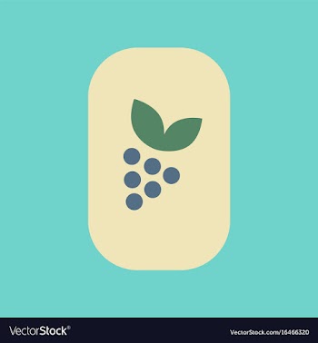 Flat icon on stylish background poker grapes leaf vector image