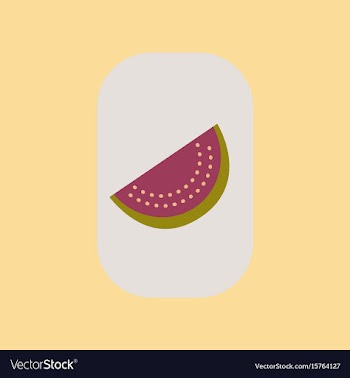 Flat icon on stylish background poker slice vector image
