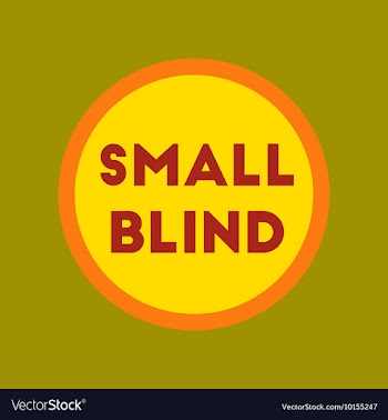 Flat icon on stylish background small blind vector image
