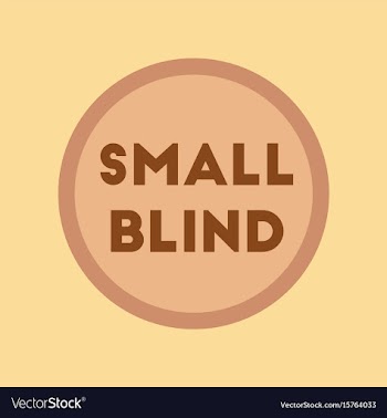 Flat icon on stylish background small blind vector image
