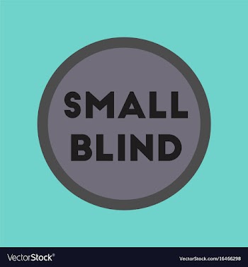 Flat icon on stylish background small blind vector image