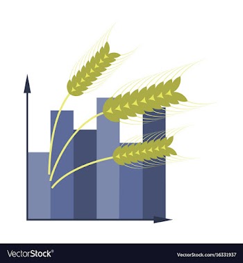 Flat icon on stylish background wheat infographics vector image