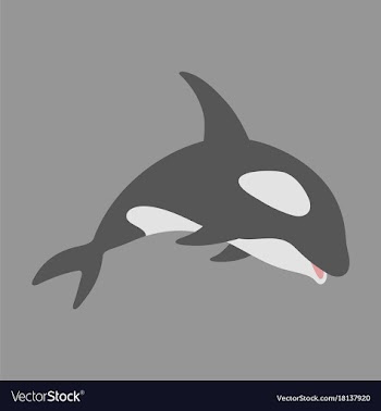 Flat icon on theme save whales killer whale vector image
