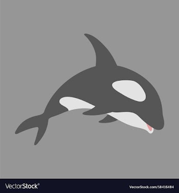 Flat icon on theme save whales killer whale vector image