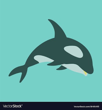 Flat icon on theme save whales killer whale vector image