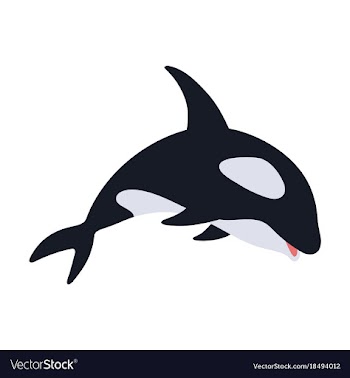 Flat icon on theme save whales killer whale vector image