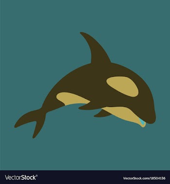 Flat icon on theme save whales killer whale vector image