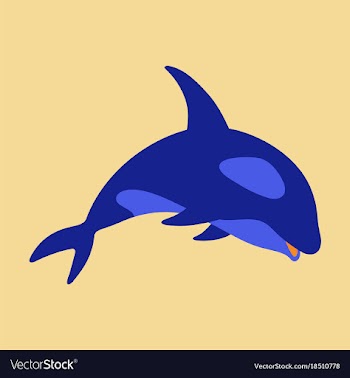 Flat icon on theme save whales killer whale vector image