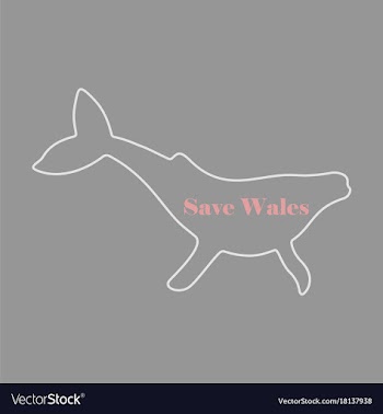 Flat icon on theme save whales silhouette of a vector image