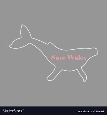 Flat icon on theme save whales silhouette of a vector image