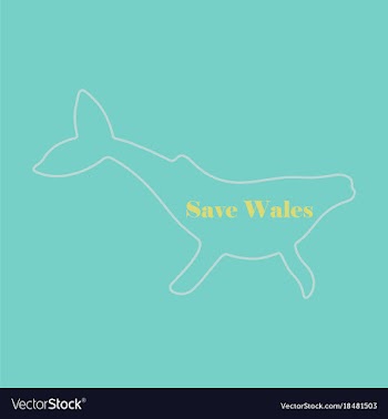 Flat icon on theme save whales silhouette of a vector image