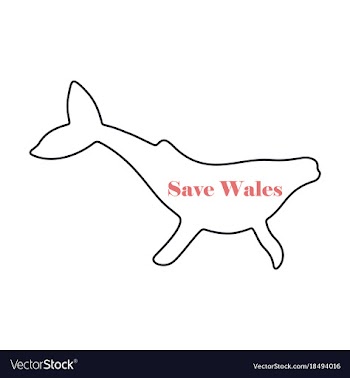 Flat icon on theme save whales silhouette of a vector image