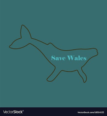 Flat icon on theme save whales silhouette of a vector image