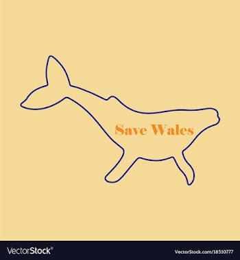 Flat icon on theme save whales silhouette of a vector image