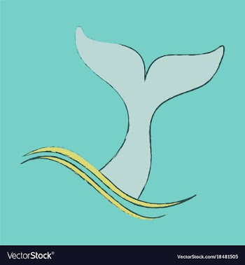 Flat icon on theme save whales tail of a whale vector image
