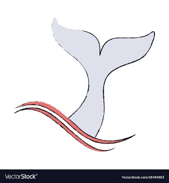 Flat icon on theme save whales tail of a whale vector image
