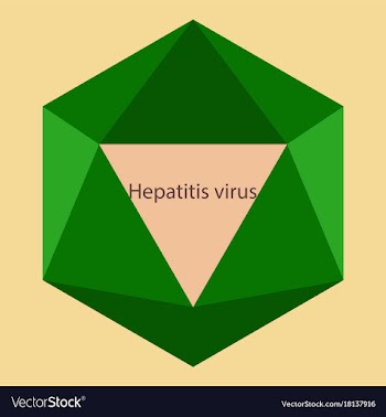 Flat icon on theme world hepatitis day hepatitis vector image