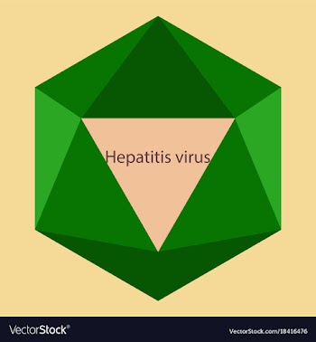 Flat icon on theme world hepatitis day hepatitis vector image