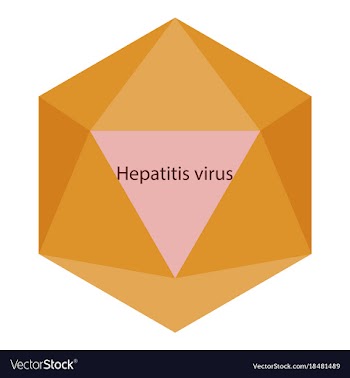 Flat icon on theme world hepatitis day hepatitis vector image