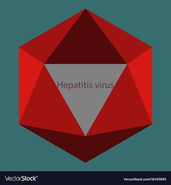 Flat icon on theme world hepatitis day hepatitis vector image