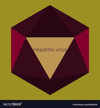 Flat icon on theme world hepatitis day hepatitis vector image