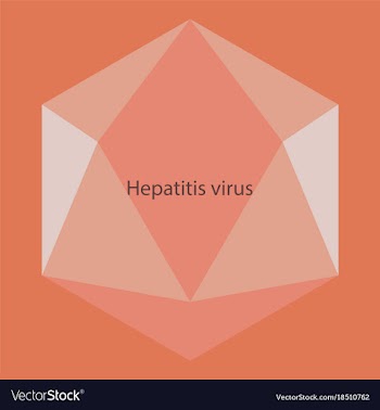 Flat icon on theme world hepatitis day hepatitis vector image