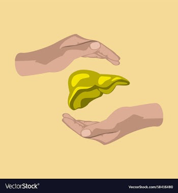 Flat icon on theme world hepatitis day liver in vector image