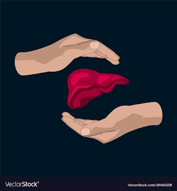 Flat icon on theme world hepatitis day liver in vector image