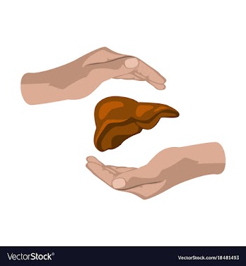 Flat icon on theme world hepatitis day liver in vector image