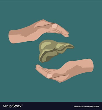 Flat icon on theme world hepatitis day liver in vector image