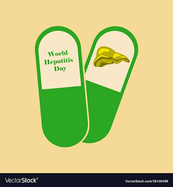 Flat icon on theme world hepatitis day pills vector image