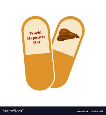 Flat icon on theme world hepatitis day pills vector image