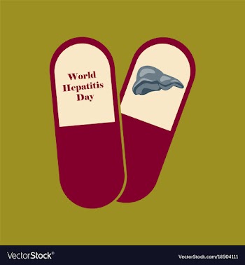 Flat icon on theme world hepatitis day pills vector image