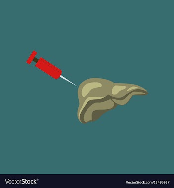 Flat icon on theme world hepatitis day syringe vector image