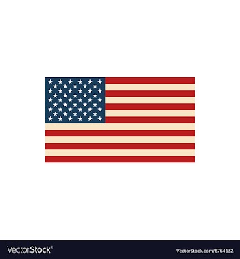 Flat icon on white background American flag vector image