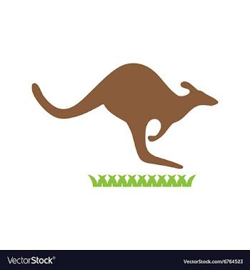 Flat icon on white background Australian kangaroo vector image