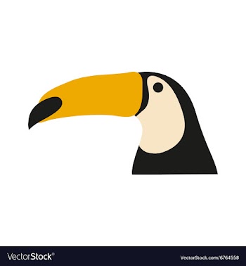 Flat icon on white background Brazilian toucan vector image