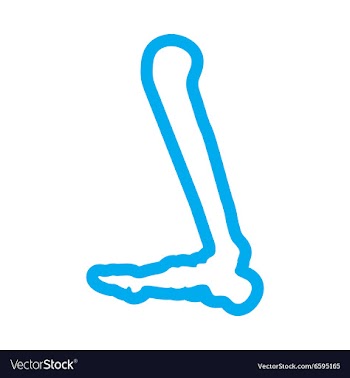 Flat icon on white background Human leg bone vector image