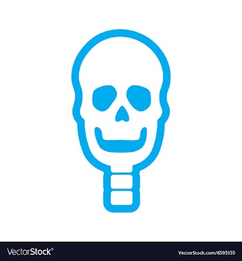 Flat icon on white background human skull vector image