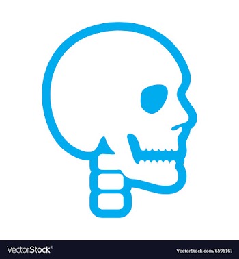 Flat icon on white background human skull vector image