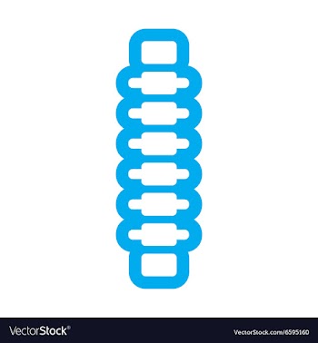 Flat icon on white background human spine vector image