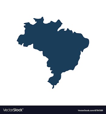 Flat icon on white background map of Brazil vector image