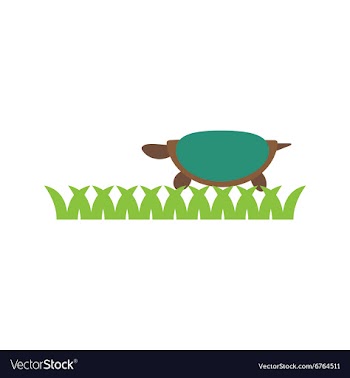 Flat icon on white background ocean turtle vector image